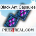 Black Ant Capsules 03